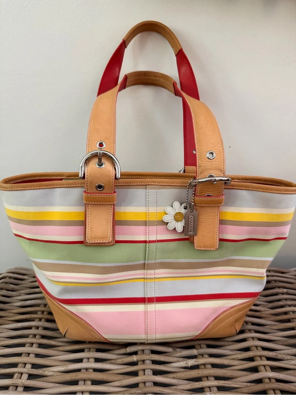 COACH Hampton Daisy Vachetta Leather Twill Multicolor Canvas Small Tote Bag 4435